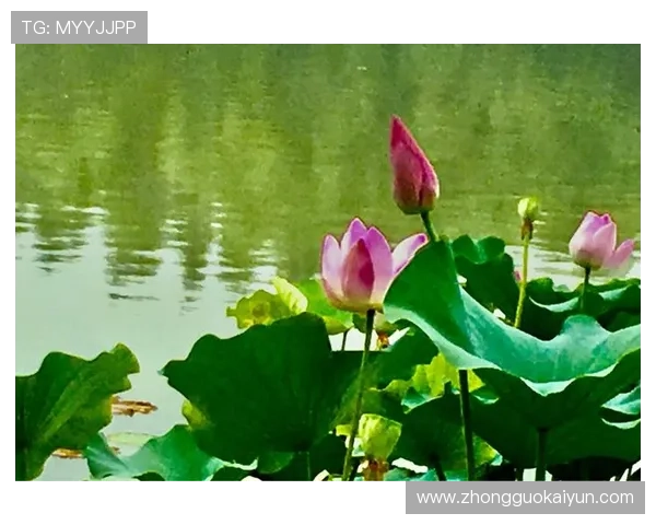 开云体育官方网站如何快速注册账号及完善个人信息，提升您的使用体验